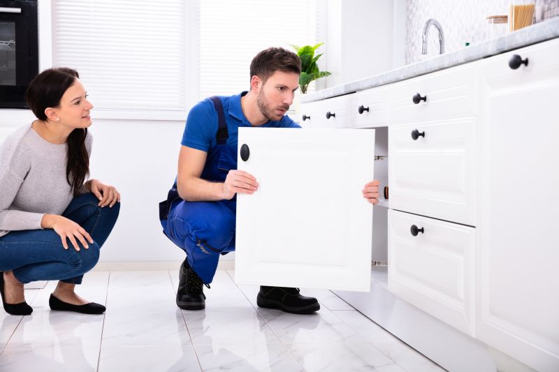 Local Sink Cabinet Repair pros at work